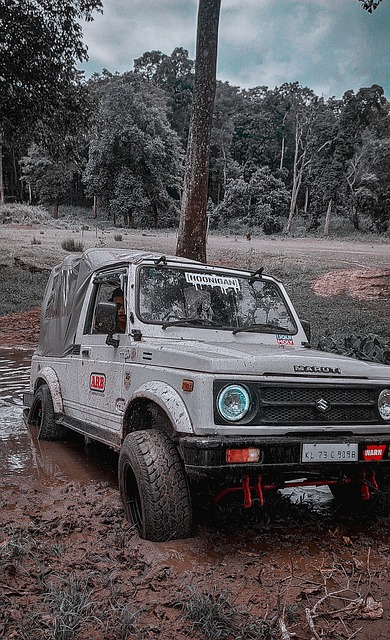 篮球火箭主帅谈球队防守：还有提升空间