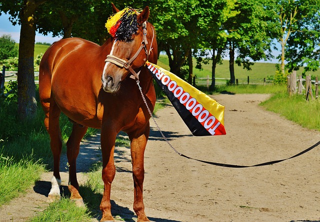 涅斯塔为核 涅斯塔为核